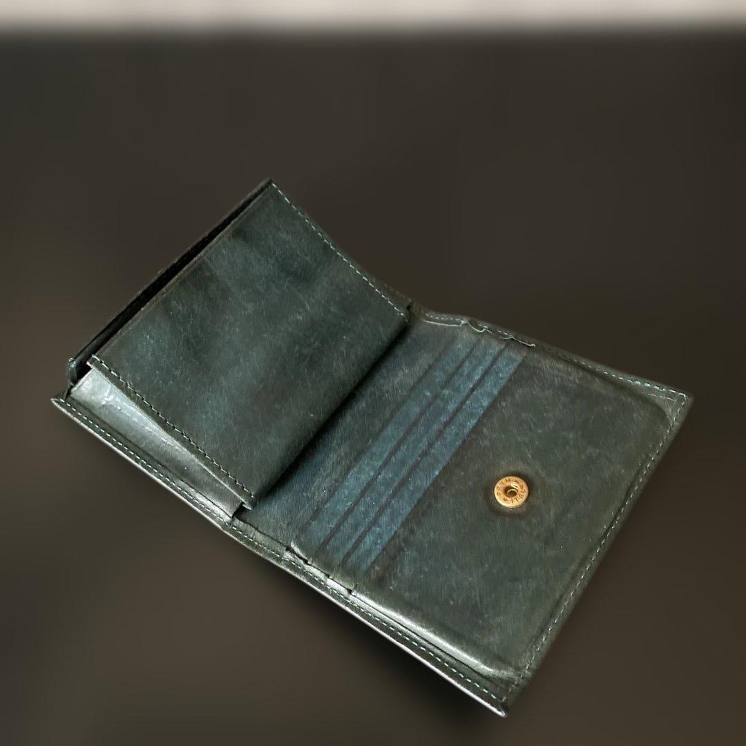 lemma marisco (レンマ　マリスコ) 色:ペトローリオ