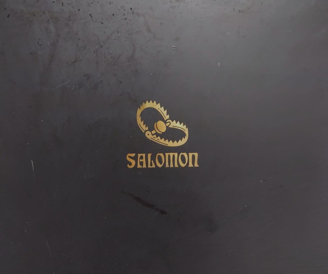 サロモン アサシン プロ 153 20-21y スノーボード