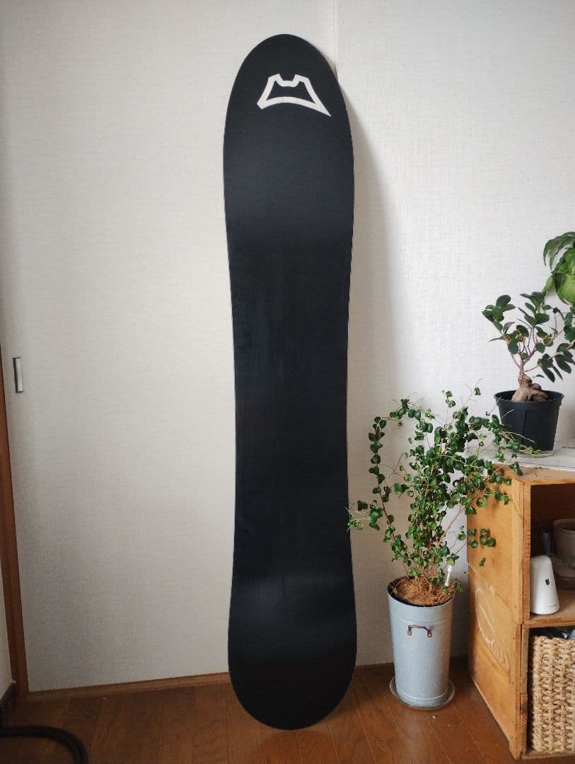 FIELD EARTH X3　パウダーボード