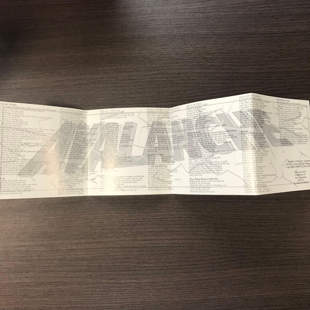 洋楽 Avalanche / Scratching at the surface