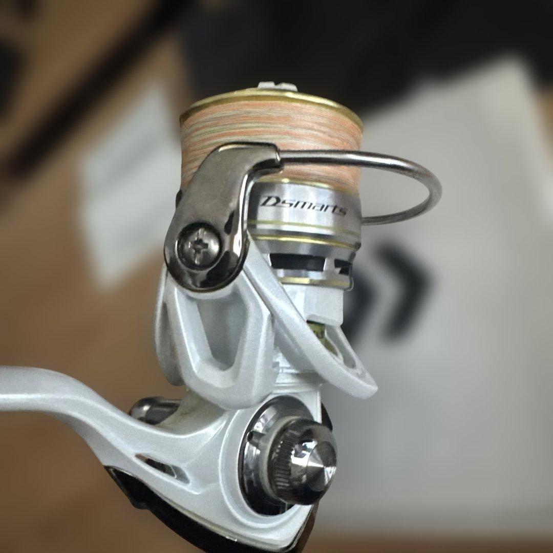 Daiwa Dsmarts 2506PE ディースマーツ