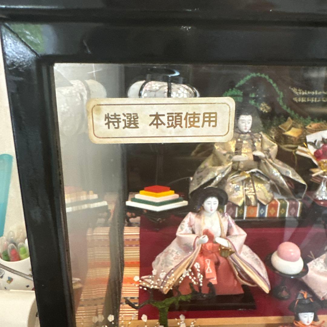特選 雛人形 ガラスケース入り　黒皮リュウ