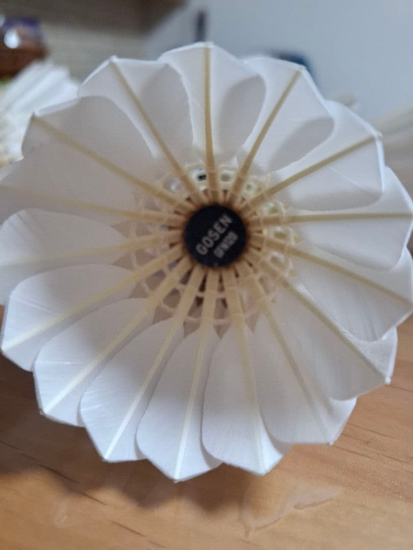 GOSEN バドミントン セミシャトル GFN120 10ダース