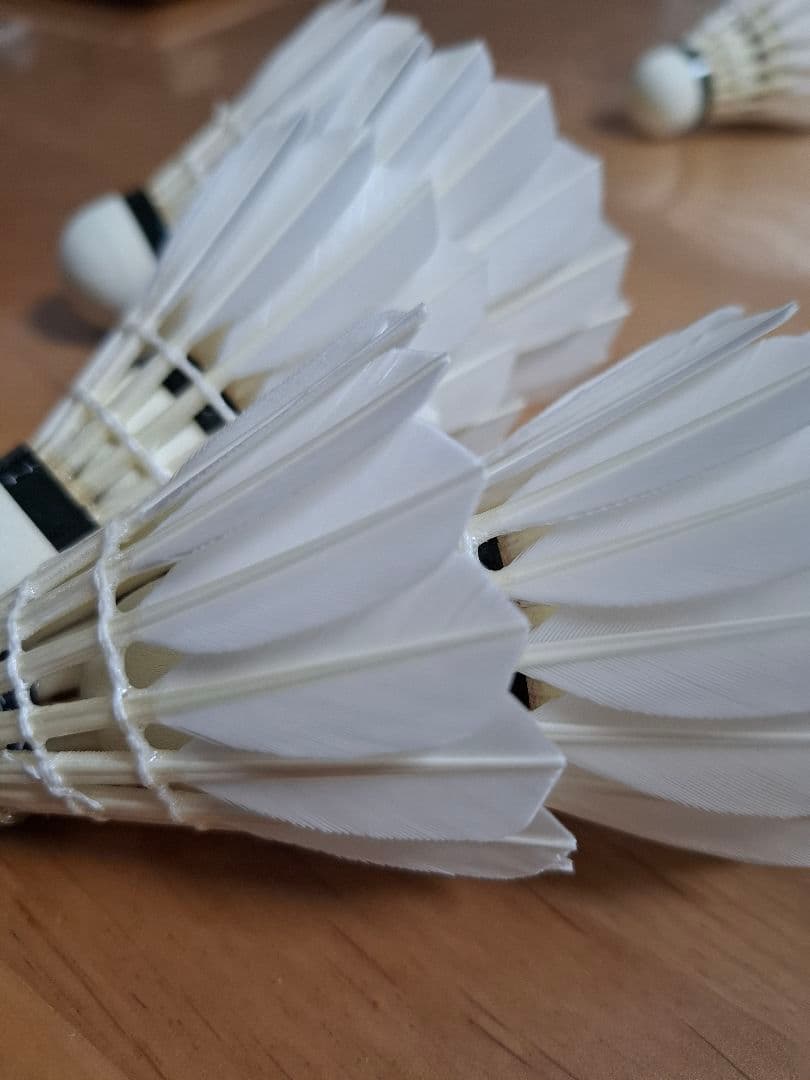 GOSEN バドミントン セミシャトル GFN120 10ダース