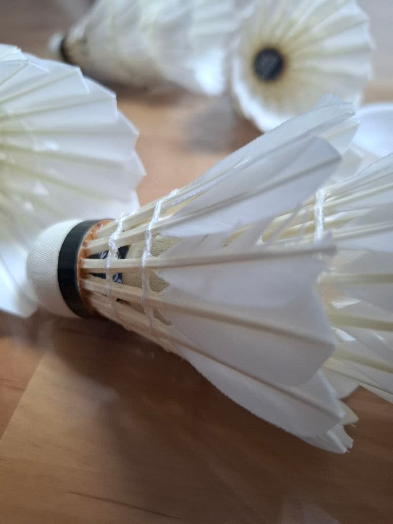 GOSEN バドミントン セミシャトル GFN120 10ダース