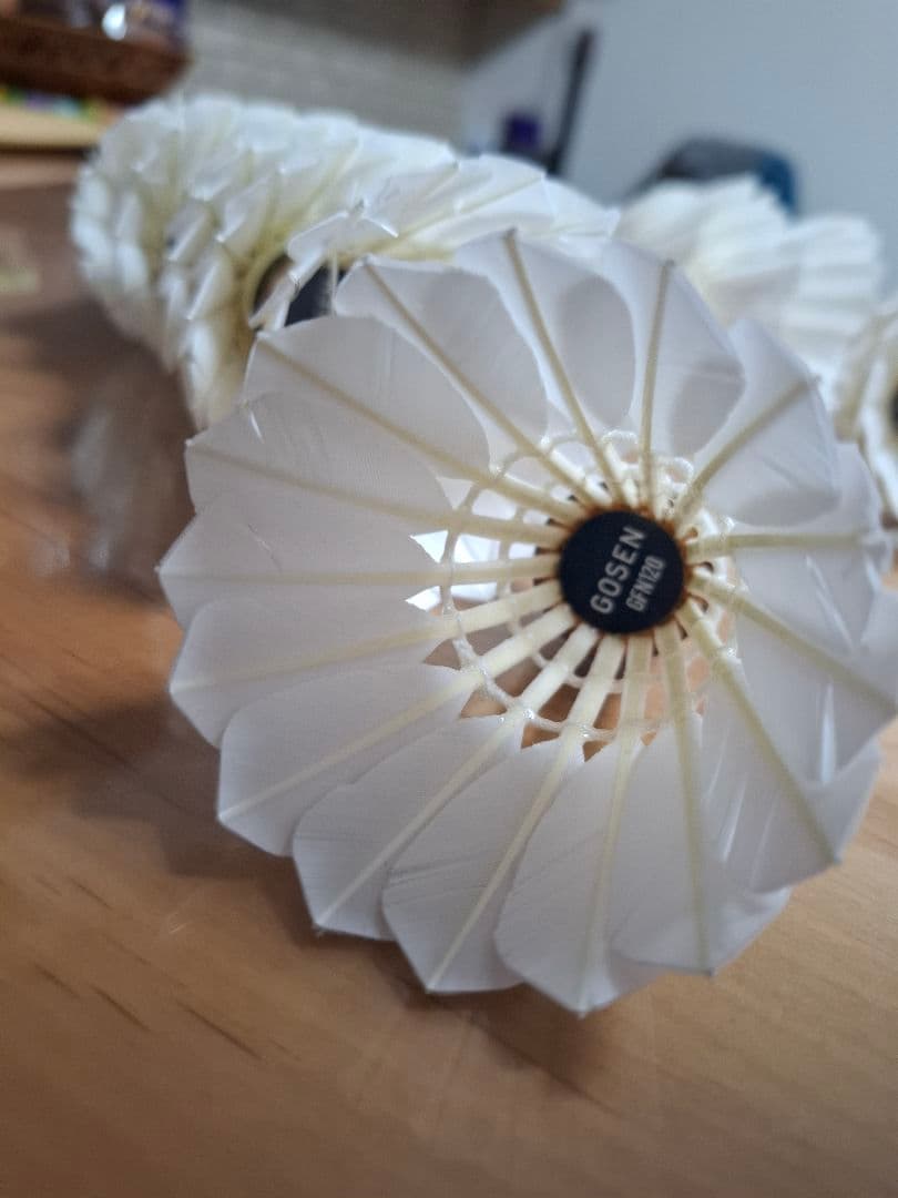 GOSEN バドミントン セミシャトル GFN120 10ダース