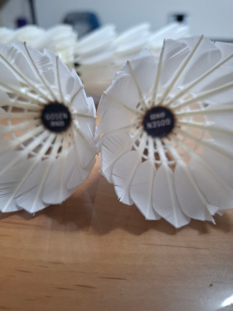 GOSEN バドミントン セミシャトル GFN120 10ダース