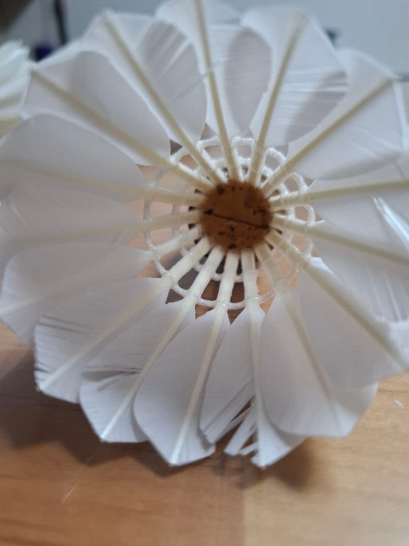 GOSEN バドミントン セミシャトル GFN120 10ダース