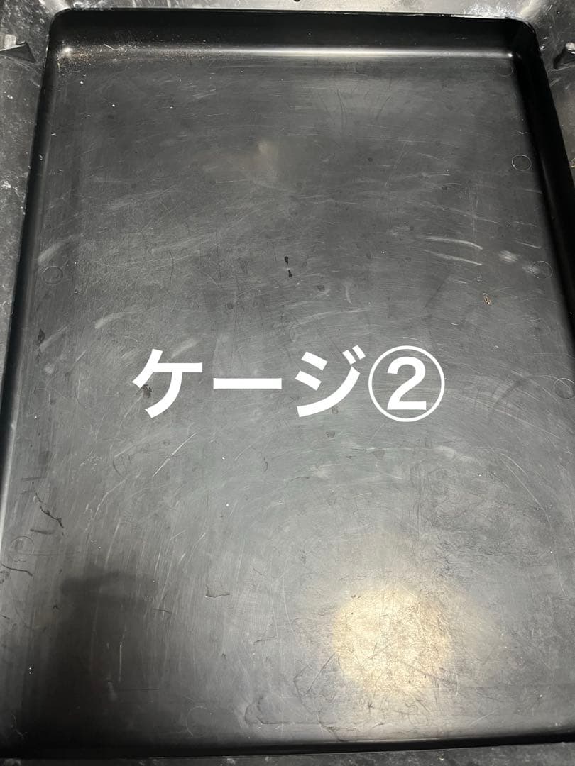 ミッフィー様⭐︎専用出品