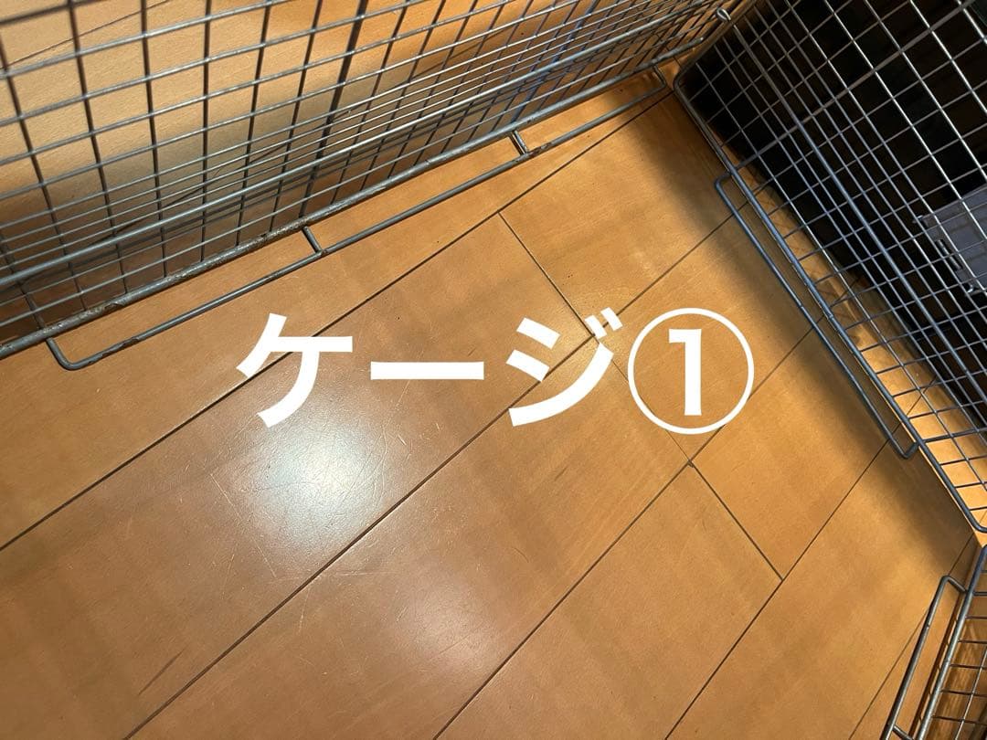 ミッフィー様⭐︎専用出品