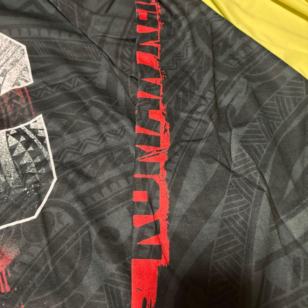 Lサイズ　WWE プロレス　Tシャツ　ロンT 長袖 ローマン　レインズ　OTC