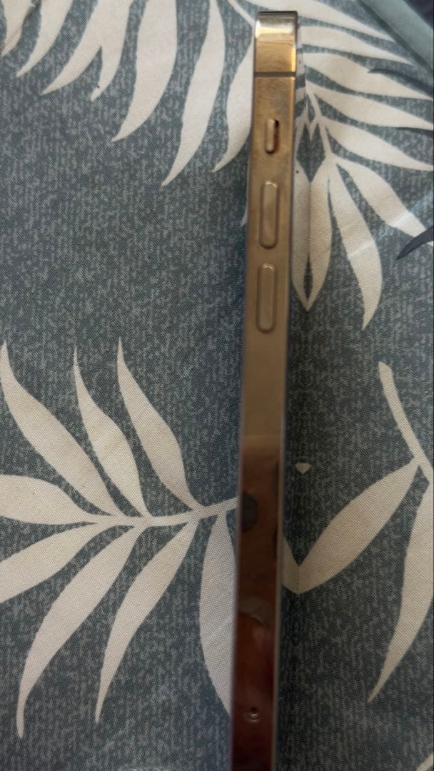 Luffy 　　iPhone12 pro 256GB ジャンク品