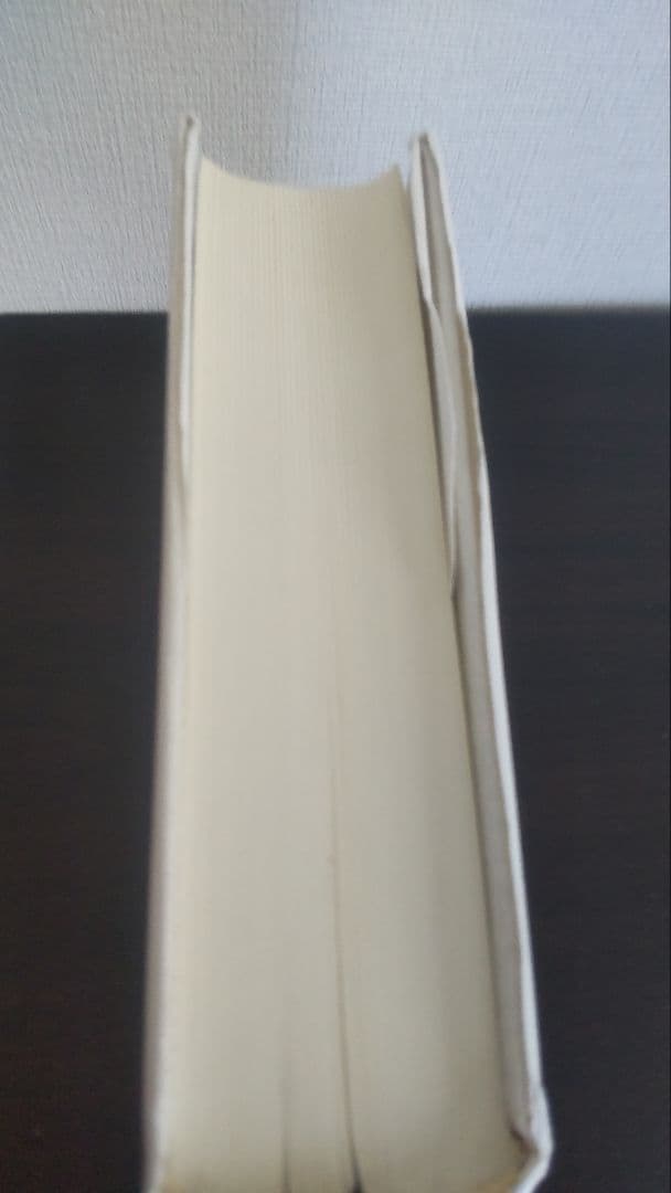 N*a様 希少『勘定科目別 異常点監査の実務』野々川 幸雄