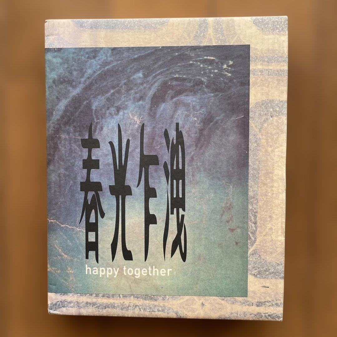 春光乍洩 / happy together /ブエノスアイレス 写真集