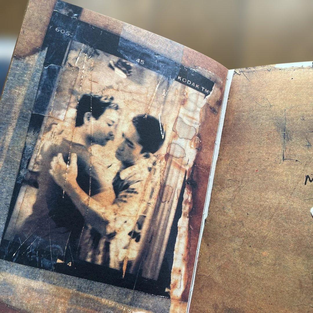 春光乍洩 / happy together /ブエノスアイレス 写真集