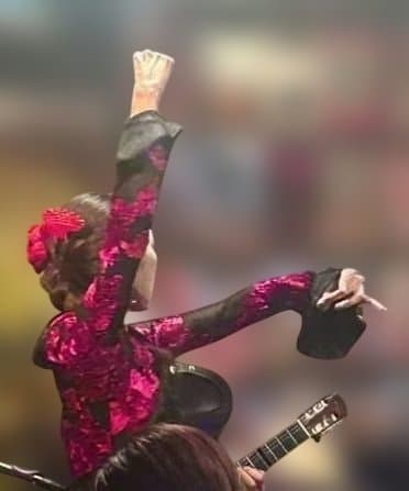 社交ダンス・フラメンコ衣装 黒と赤刺繍