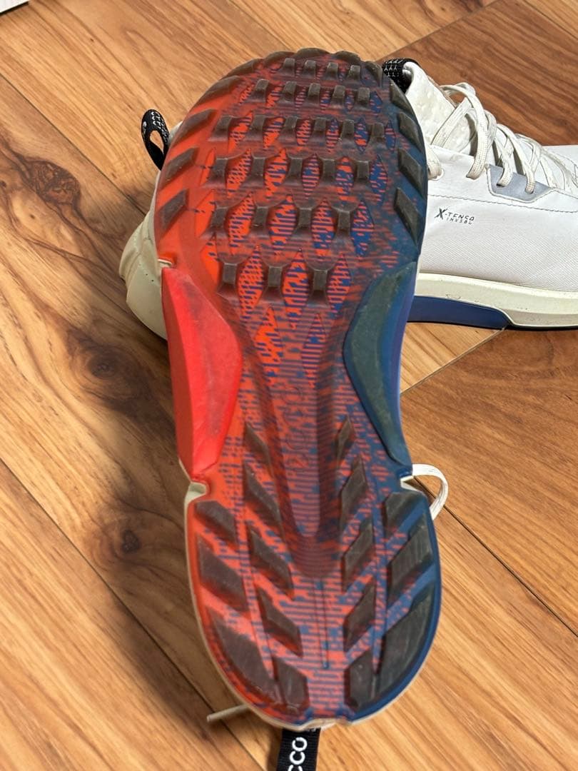 ecco BIOM H4 ゴルフシューズ