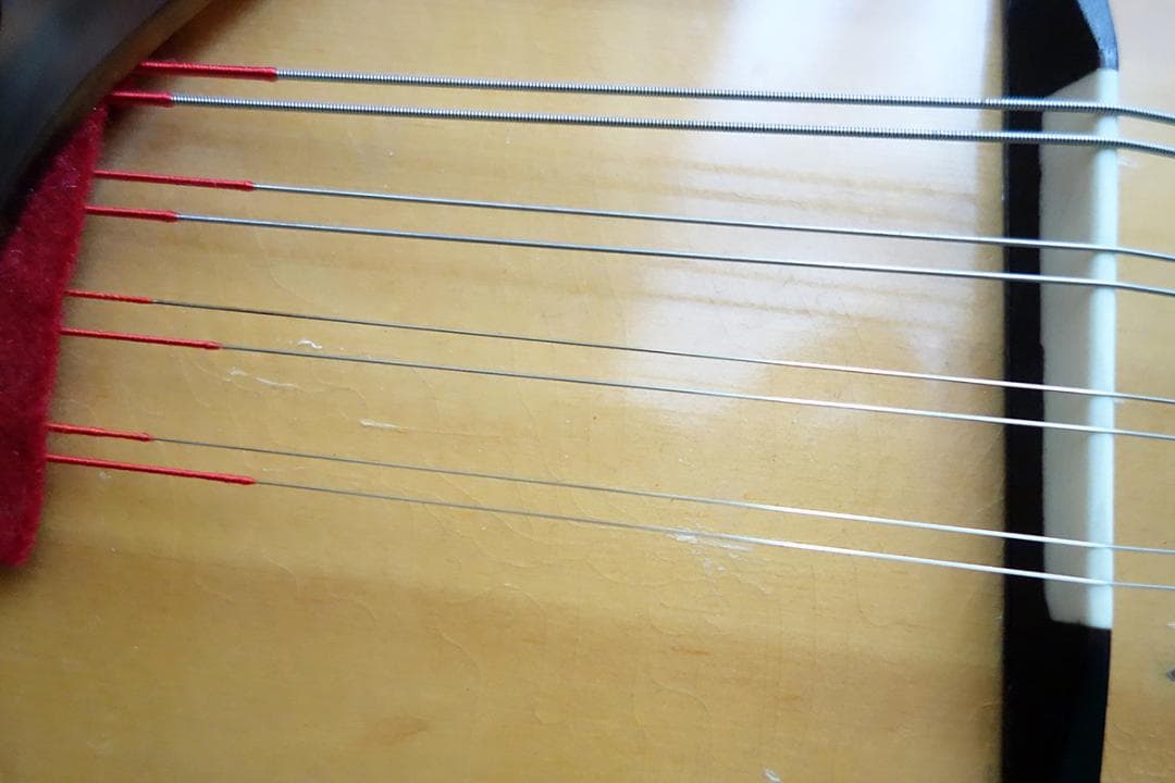 カラーチェ マンドリン RAFFAELE CALACE TYPE24 Z22