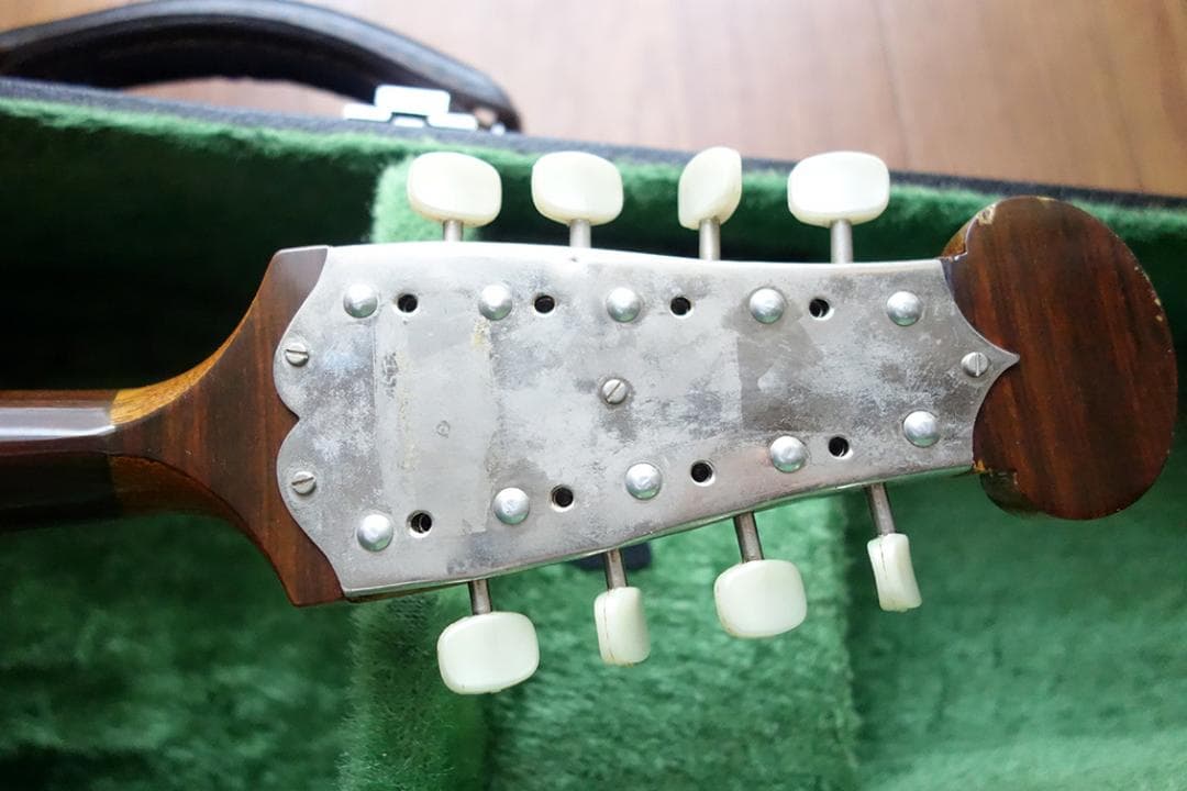 カラーチェ マンドリン RAFFAELE CALACE TYPE24 Z22