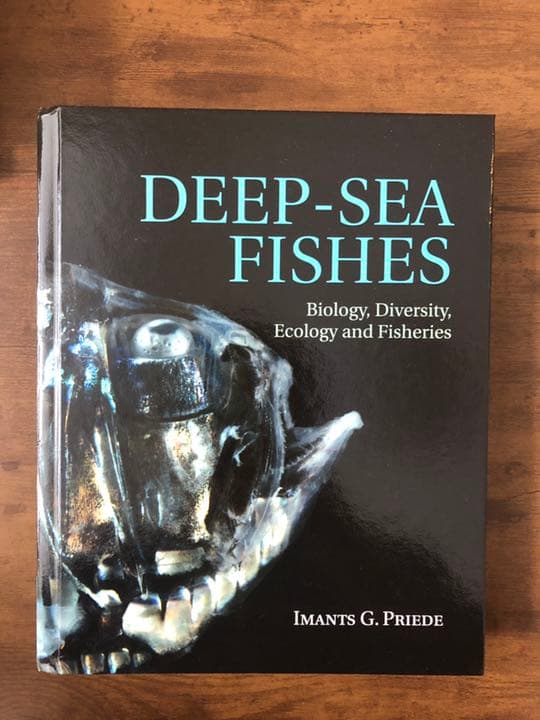 コンピュータ・IT Deep Sea Fishes