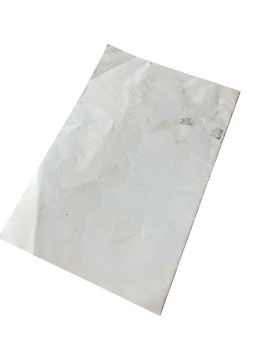 コムデギャルソンオムプリュス カタログ DM 写真集 非売品 川久保玲 4冊