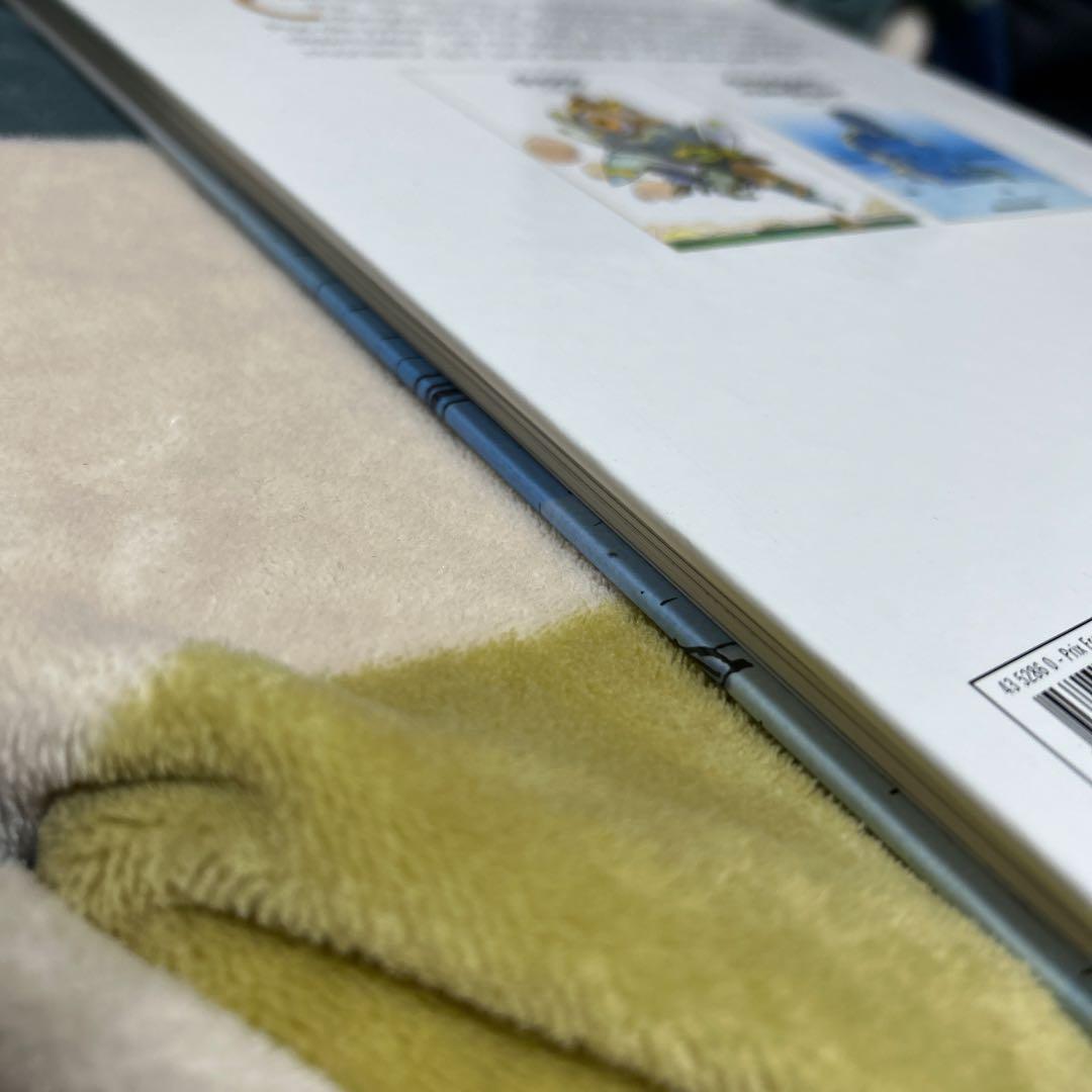 chroniques lliques moebius メビウス　画集