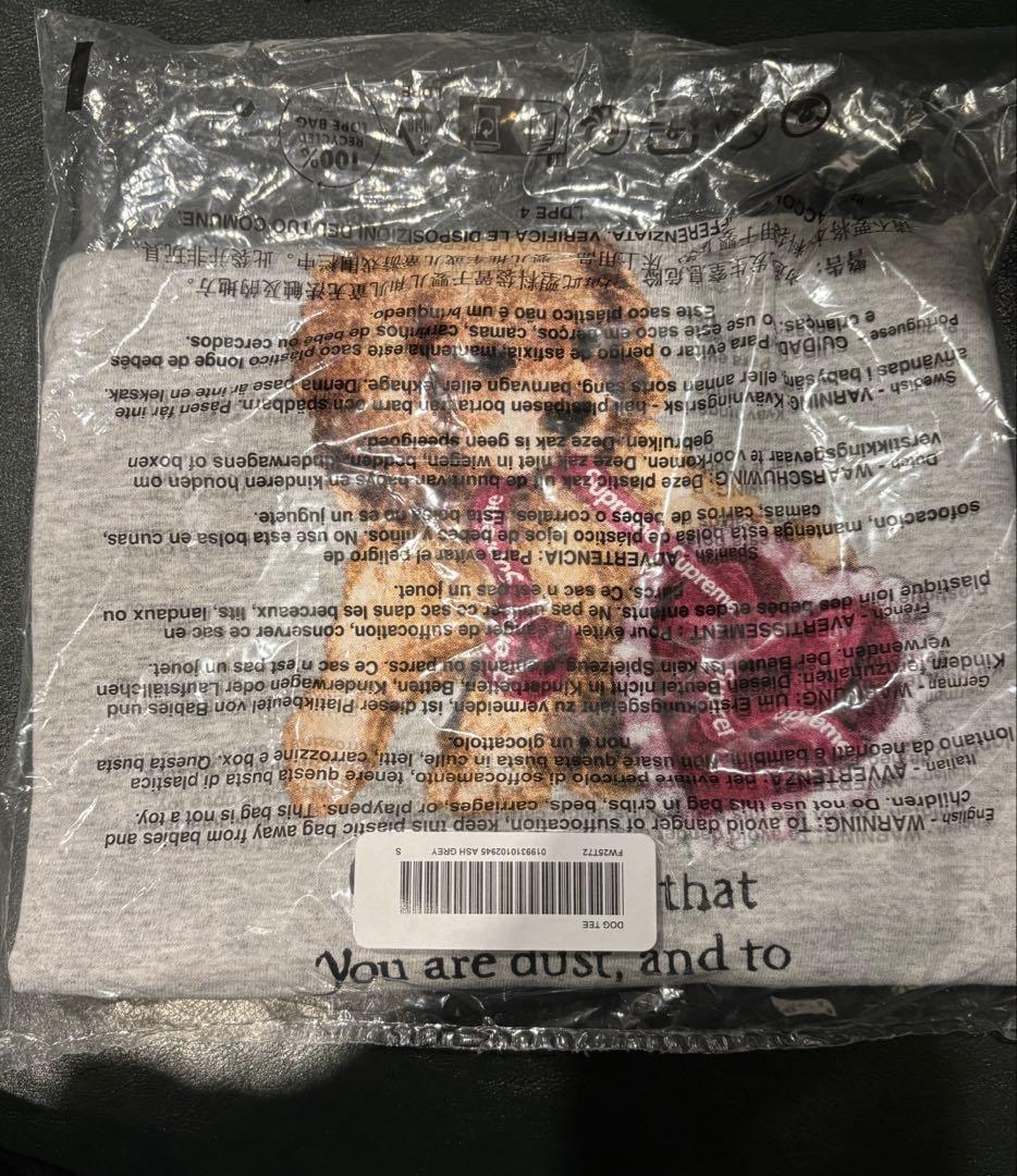 SUPREME Dust Tee Ash Grey Tシャツ サイズS