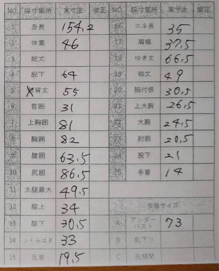 セミドライ　レディースM