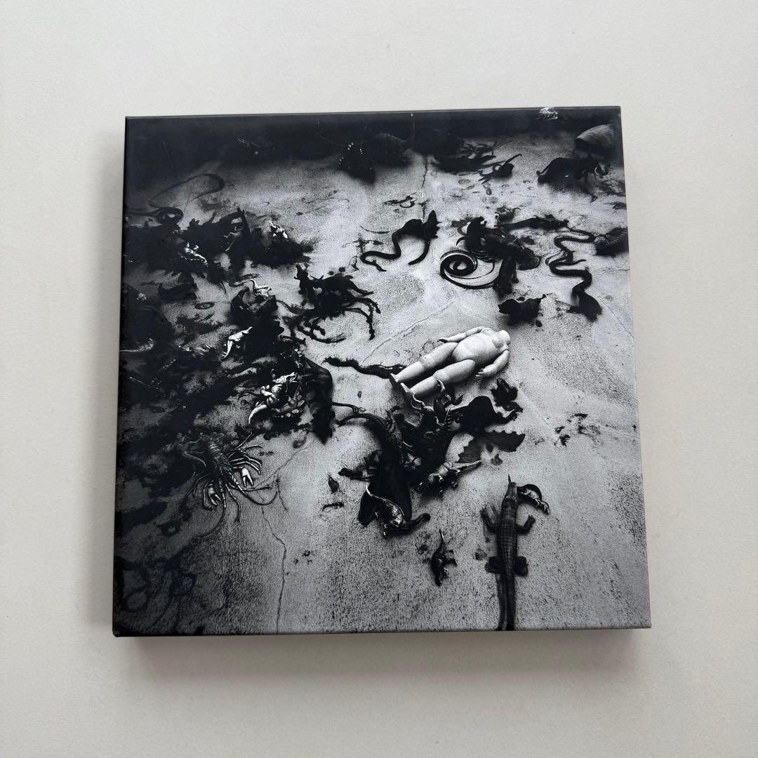 CHANEL NEXUS 写真集 東京墓情 荒木経惟