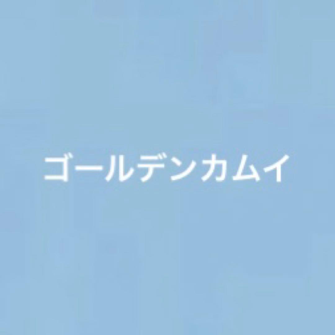 ゴールデンカムイ全巻セット