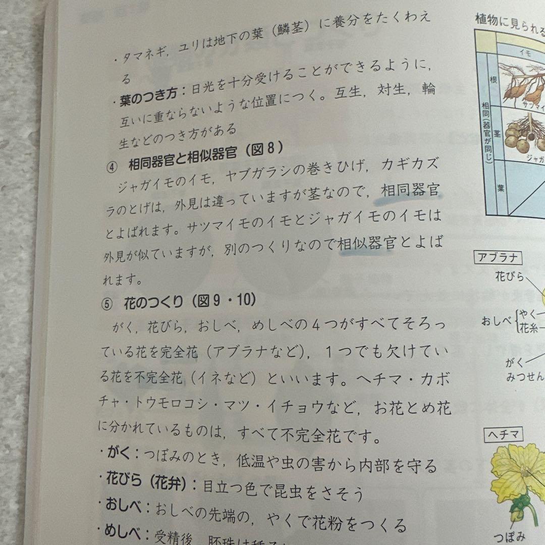 四谷大塚予習シリーズ6年上・演習問題（4教科）週テスト2023（3教科）、漢こと