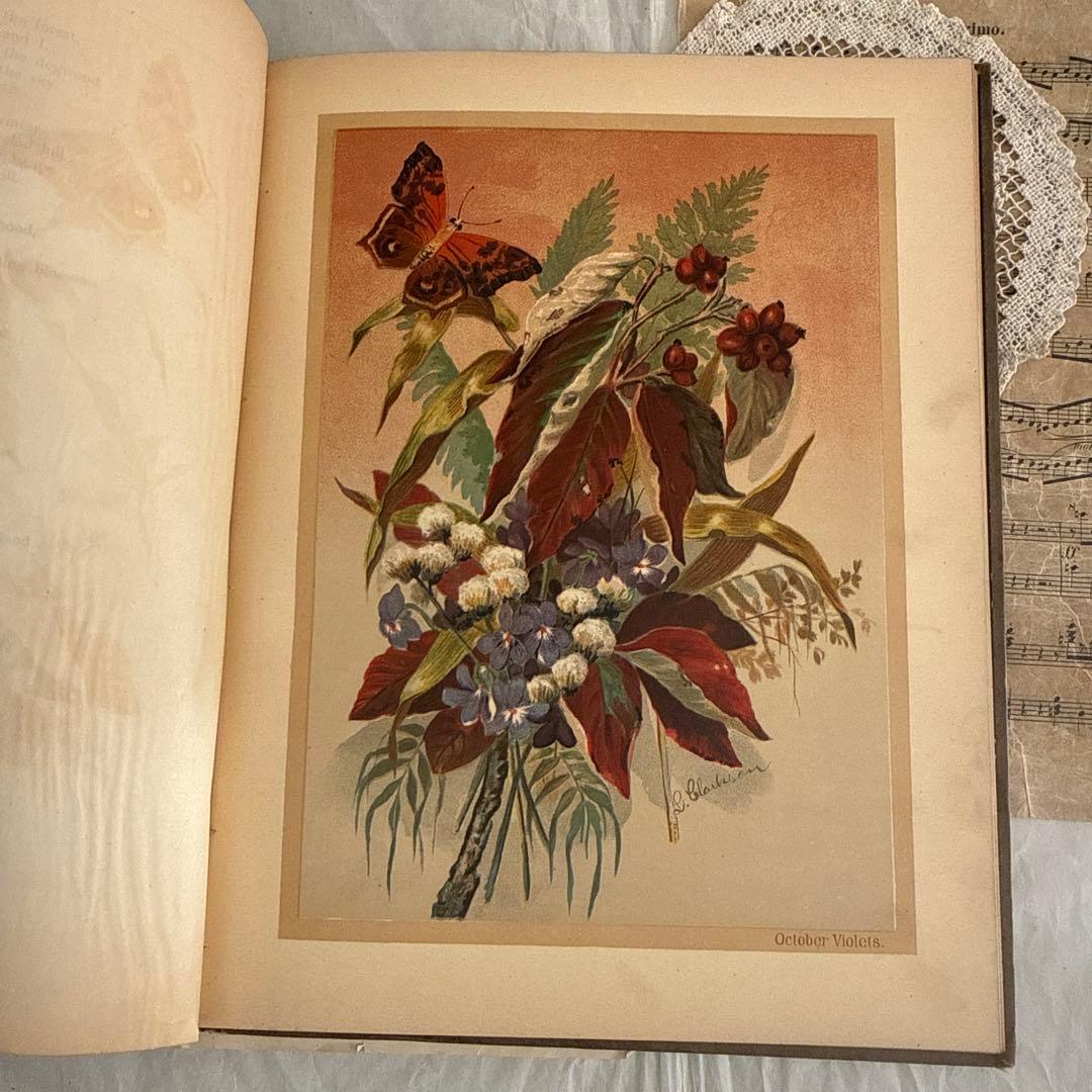 稀少1883年アンティーク美しい画集ヴィクトリアン洋書ジャンクジャーナル　古書