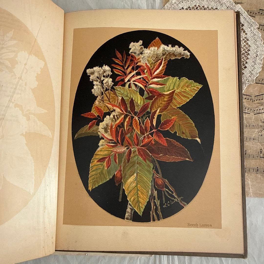 稀少1883年アンティーク美しい画集ヴィクトリアン洋書ジャンクジャーナル　古書