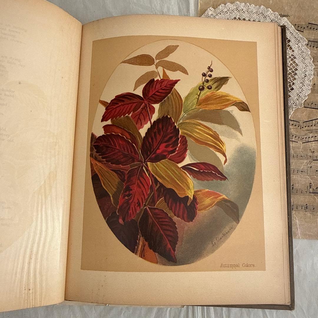 稀少1883年アンティーク美しい画集ヴィクトリアン洋書ジャンクジャーナル　古書