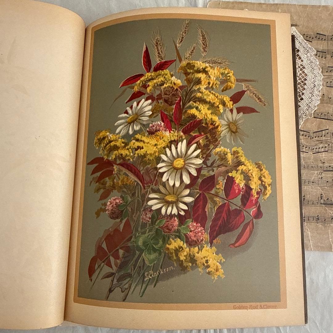 稀少1883年アンティーク美しい画集ヴィクトリアン洋書ジャンクジャーナル　古書