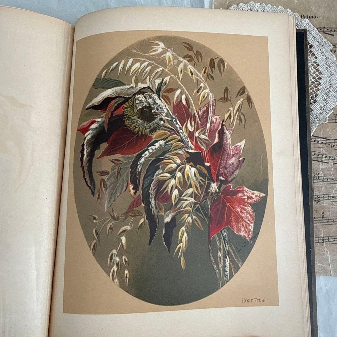 稀少1883年アンティーク美しい画集ヴィクトリアン洋書ジャンクジャーナル　古書
