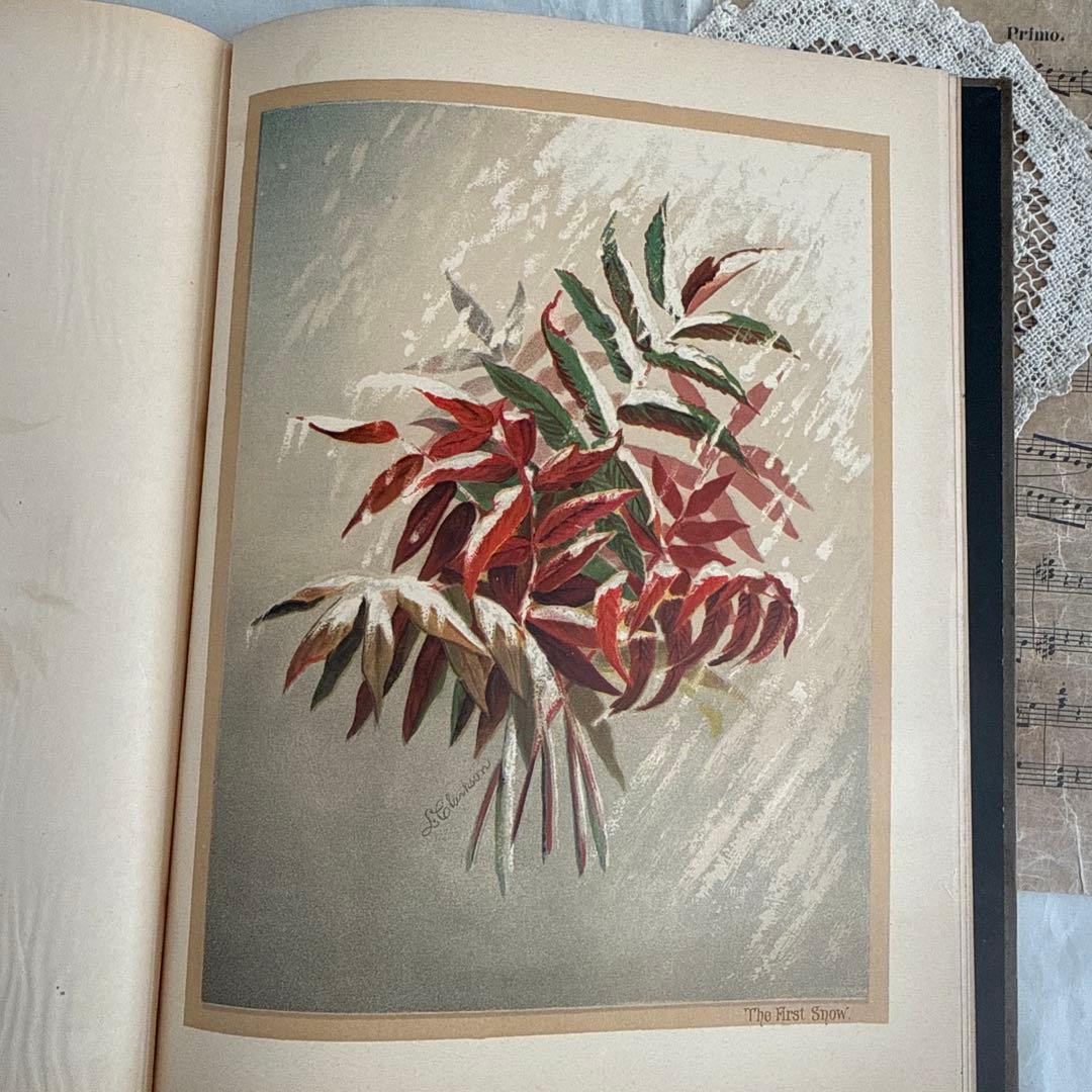稀少1883年アンティーク美しい画集ヴィクトリアン洋書ジャンクジャーナル　古書