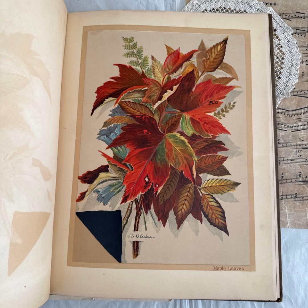 稀少1883年アンティーク美しい画集ヴィクトリアン洋書ジャンクジャーナル　古書