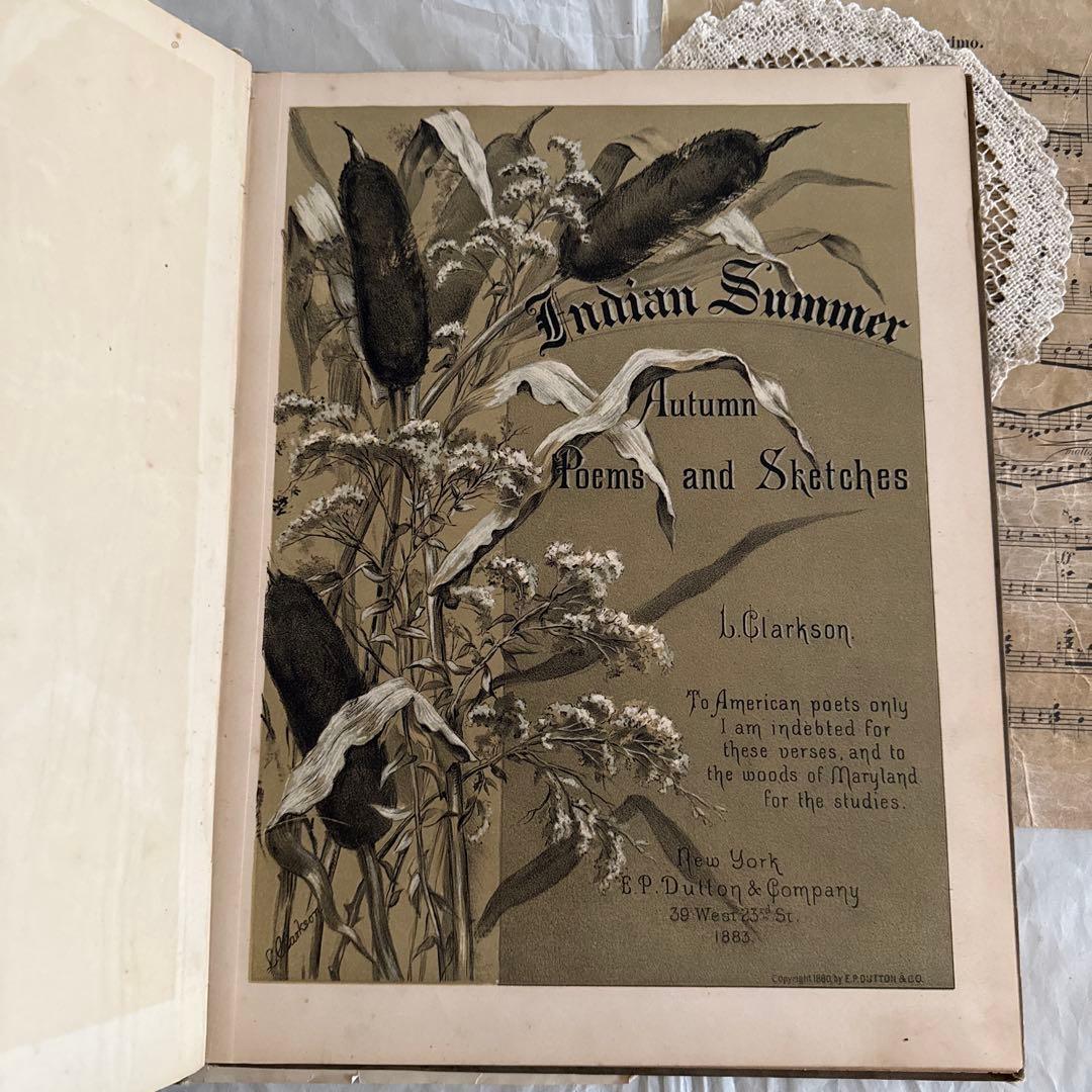 稀少1883年アンティーク美しい画集ヴィクトリアン洋書ジャンクジャーナル　古書