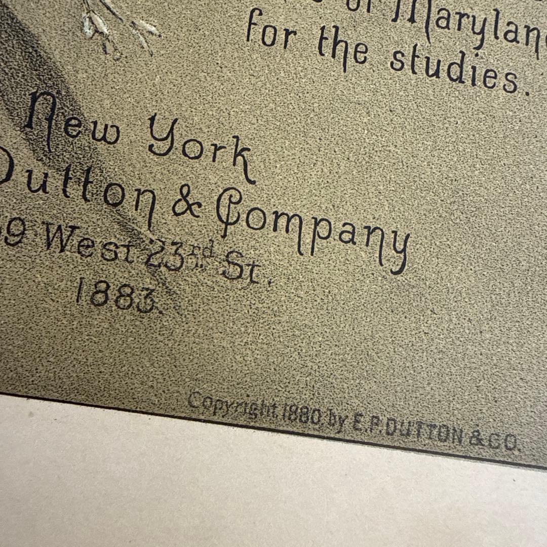 稀少1883年アンティーク美しい画集ヴィクトリアン洋書ジャンクジャーナル　古書