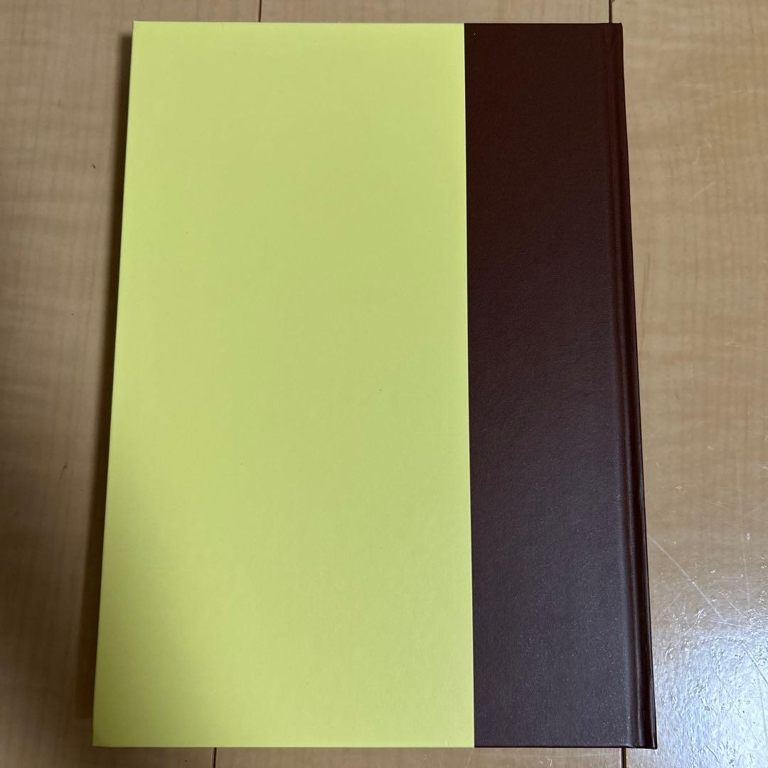 YNSA 山元式新頭針療法 鍼灸 頭皮鍼 ツボ