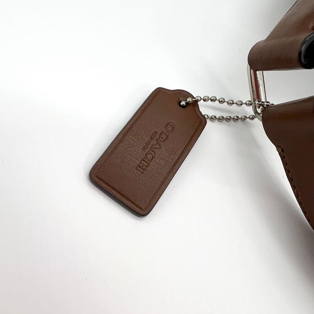 未使用級✨コーチ　ボディバッグ　ショルダー　シグネチャー　レインボー　ブラウン