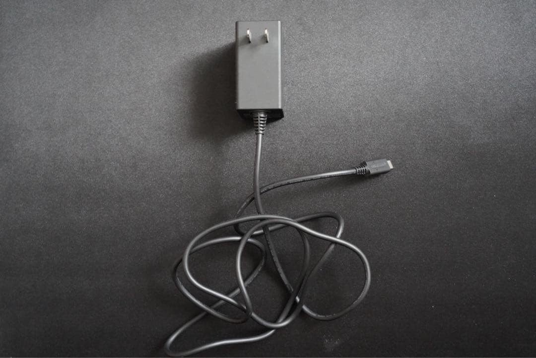 Nintendo Switch Lite あつまれどうぶつの森デザイン　中古品