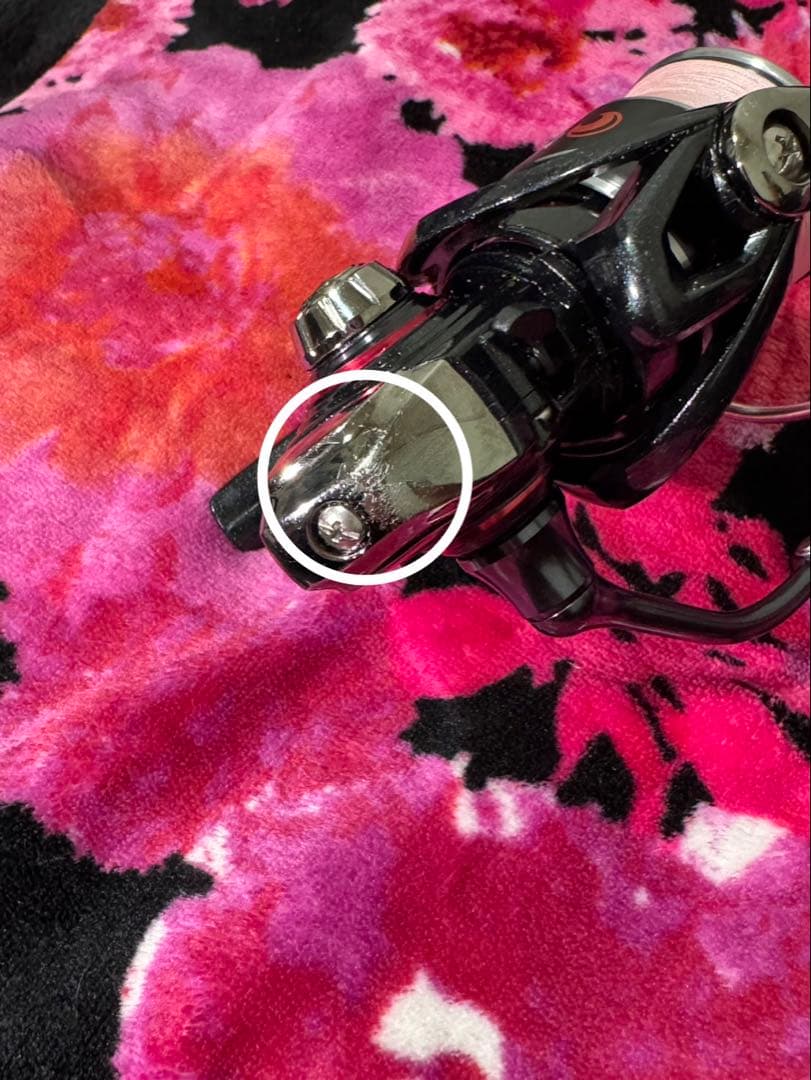 ダイワ20月下美人　X LT2000S-P