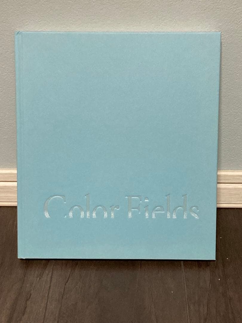 【新品】カラーフィールド　色の海を泳ぐ　DIC川村記念美術館