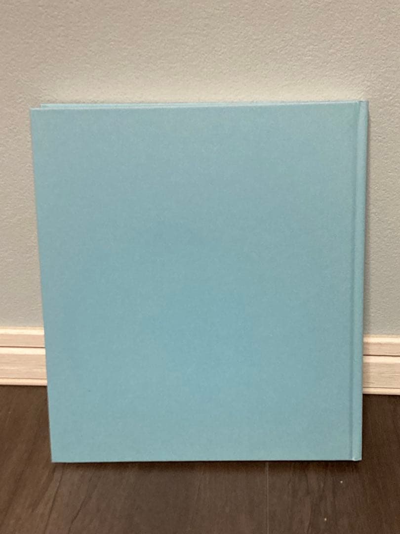 【新品】カラーフィールド　色の海を泳ぐ　DIC川村記念美術館