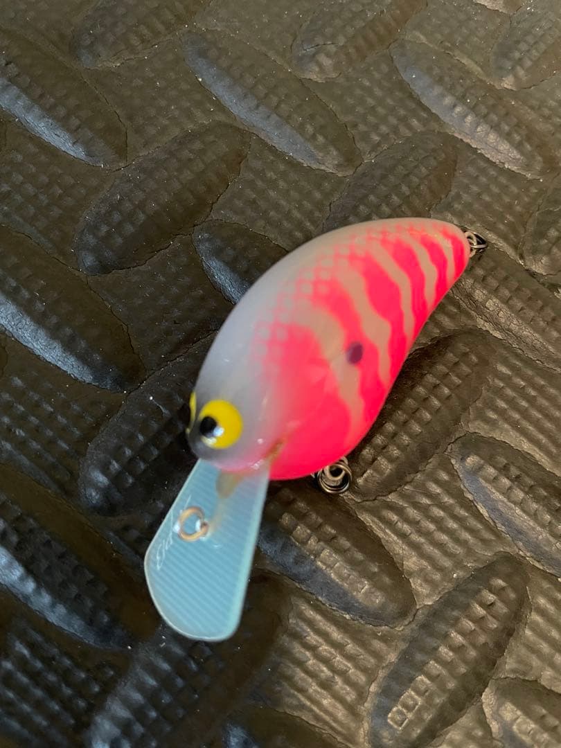 MPB ワイルドボアMR