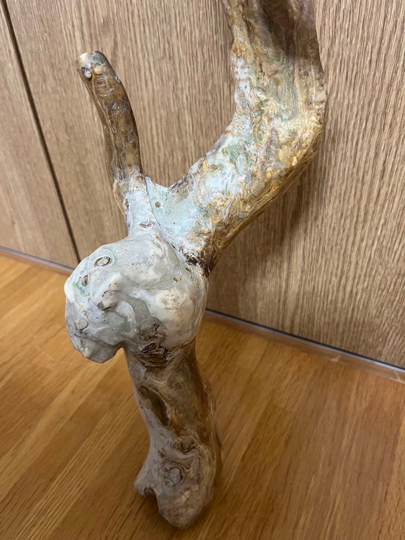 希少品！レインボーコーラル 深海松 シンカイマツ 全長約86cm！