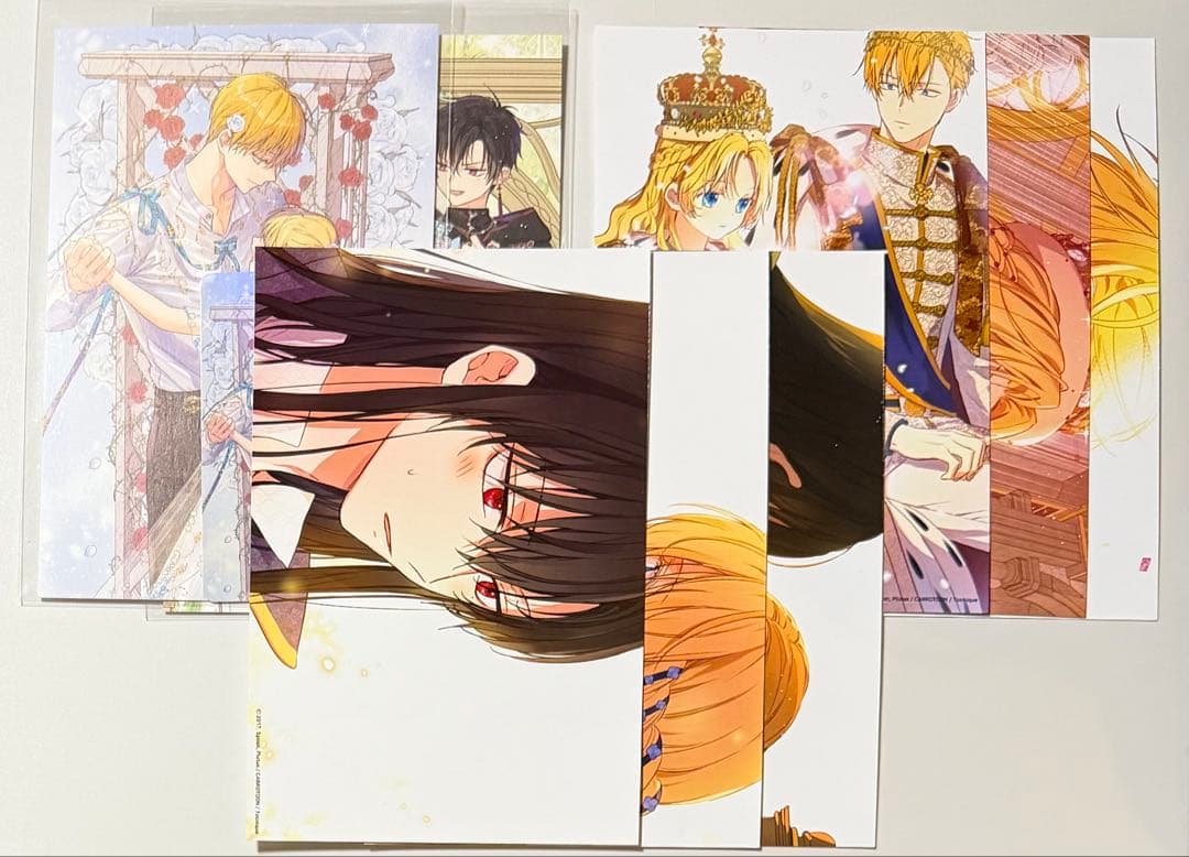 ある日、お姫様になってしまった件について　ある姫　豪華版　特装版　イラストブック