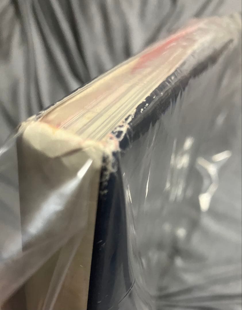 ブランキージェットシティ　写真集　CD付き 浅井健一